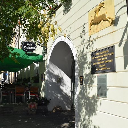Akzent Hotel Goldner Hirsch Kamenz Luaran gambar